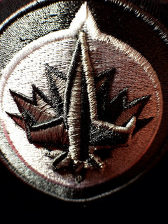 Sports, Bread, and Circuses