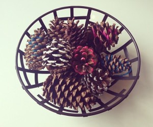 painted pinecones